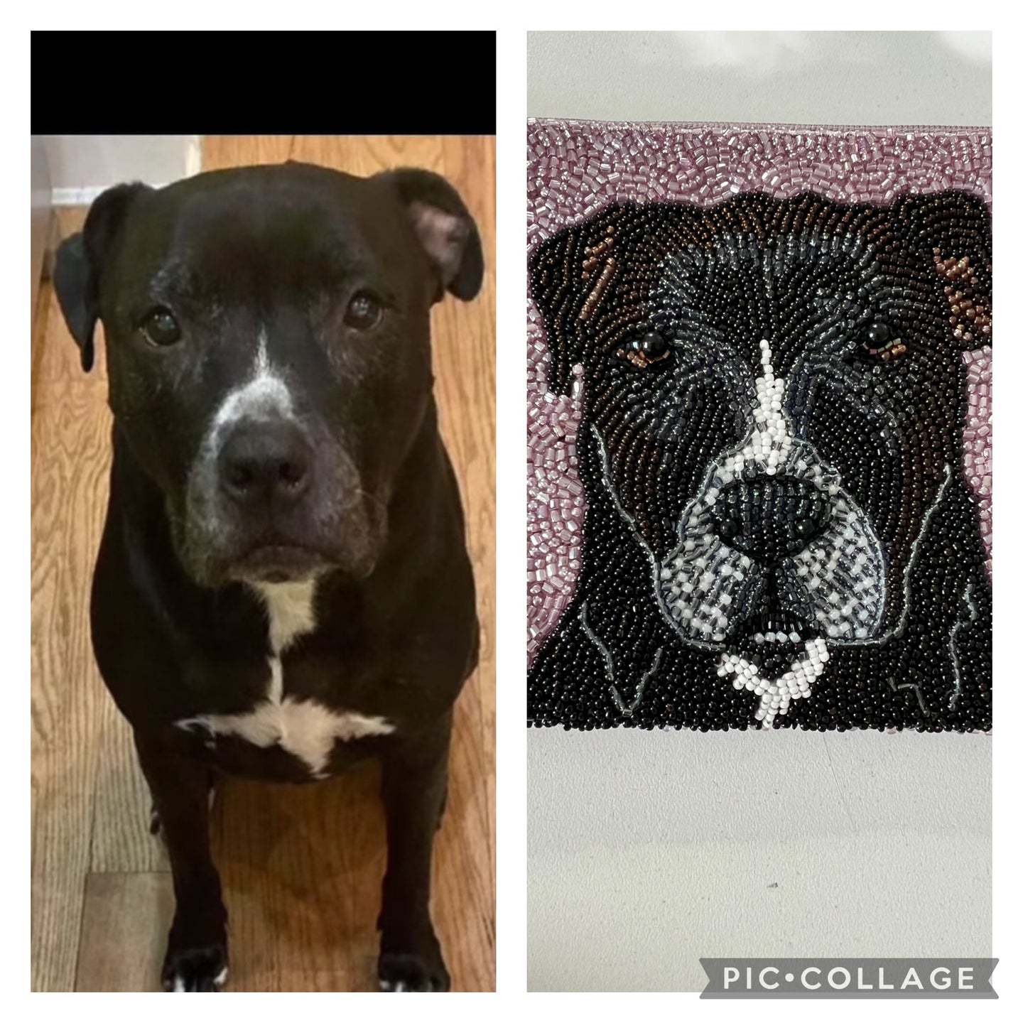 Furry Friends Coin Purse